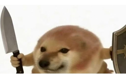 3月最火meme币“我的刀盾”引爆链上热潮