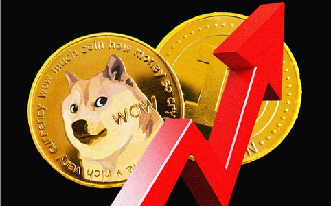 迷因币链上数据深度解析：哪些代币具备长期持有潜力？