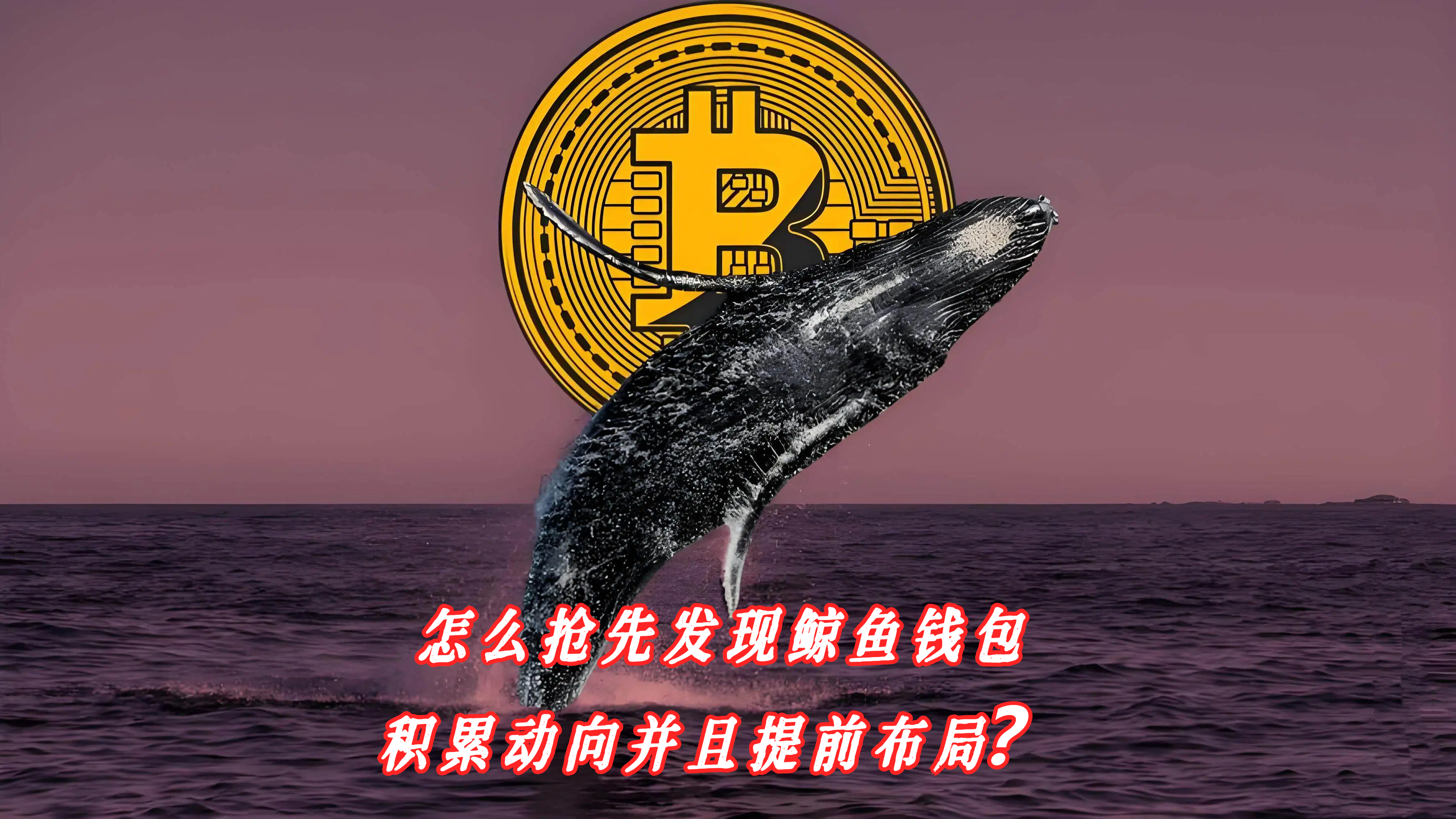 怎么抢先发现鲸鱼钱包积累动向并且提前布局？