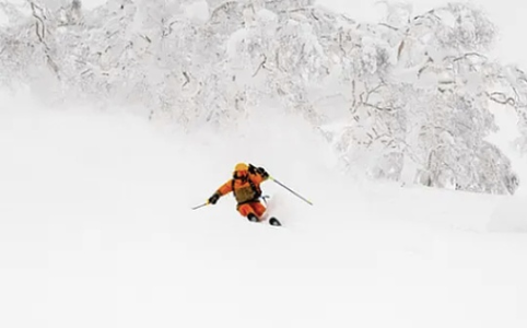 Hyperliquid代币HYPE未来价值展望：从真实交易量到市盈率倍数分析