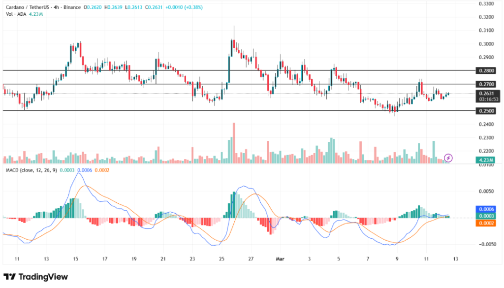 卡尔达诺突破0.26美元关键位 市场看涨情绪升温