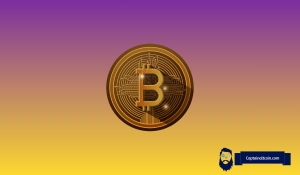 比特币已实现市值指标预警周期底部信号