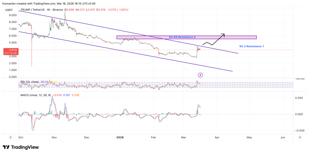 迷因币集体反弹 比特币突破74000美元关口