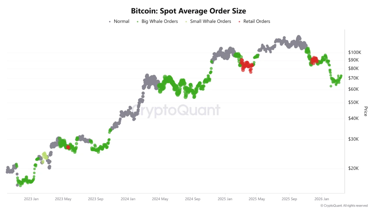 大型钱包增持信号显现 比特币价格或迎突破窗口