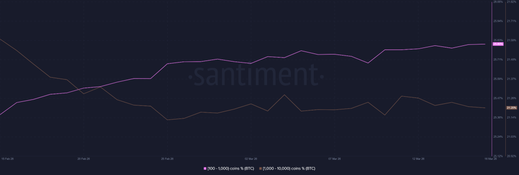 比特币NUPL指标警示市场隐忧：鲸鱼离场与流动性萎缩共现