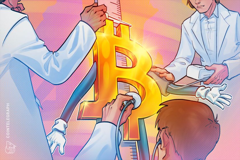 比特币采用加速与价格滞涨背后的结构性转变