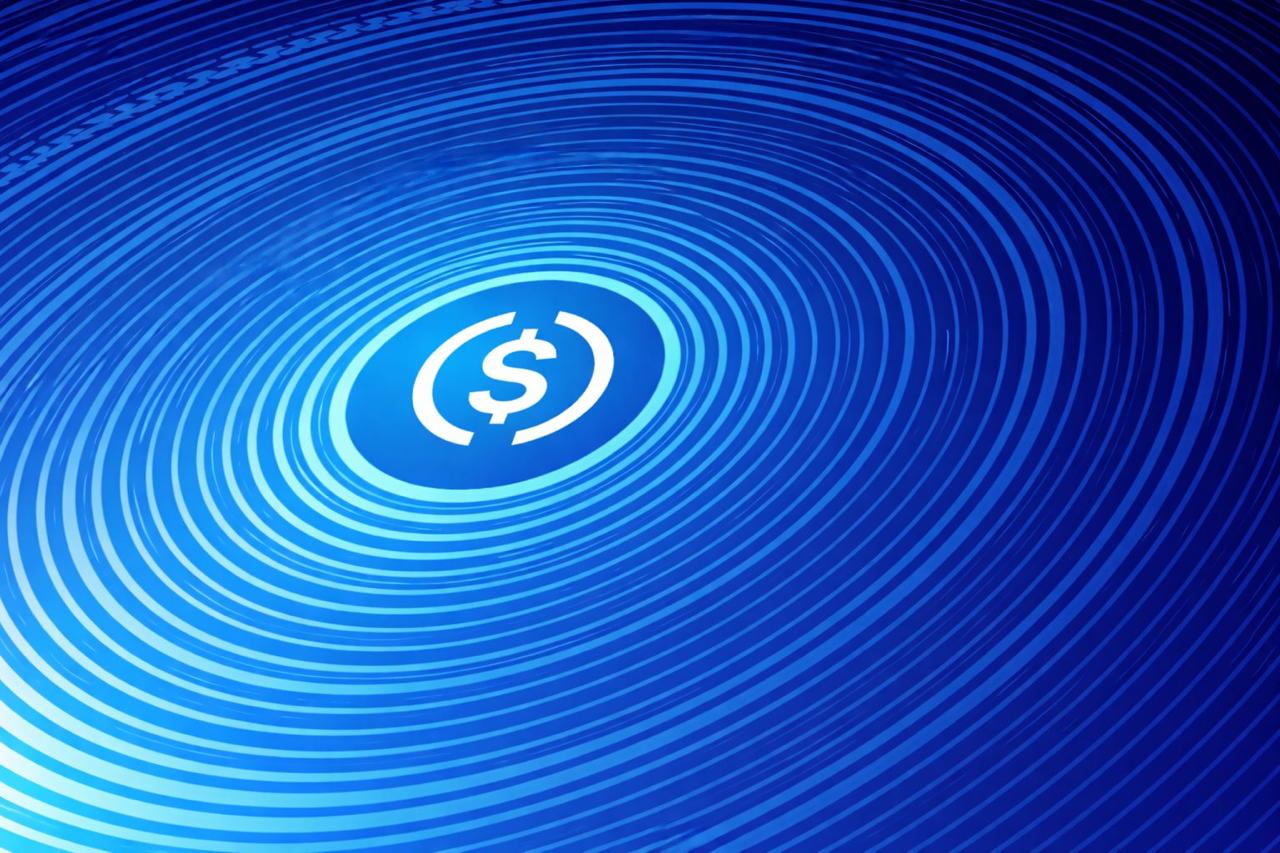 USDC持仓创纪录集中 机构资金加速流入