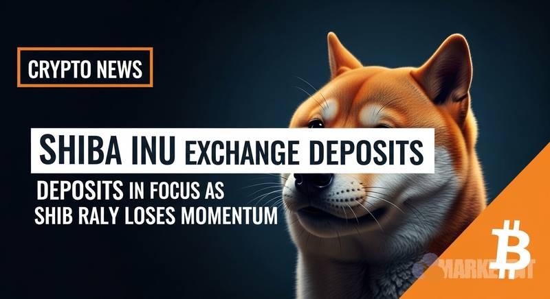 柴犬币交易所资金流动现状引发市场审视