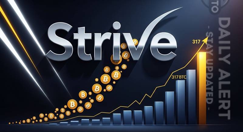 斯瑞夫四月狂揽超330枚比特币跻身全球前十