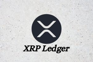 XRP生态机构资金加速流入，长期价值逻辑受热议