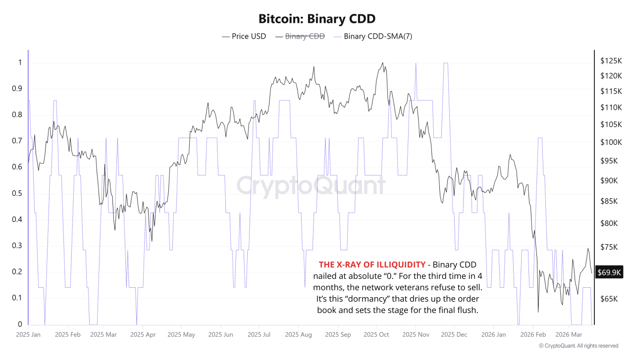 比特币流动性危机预警：二元CDD归零触发洗盘倒计时