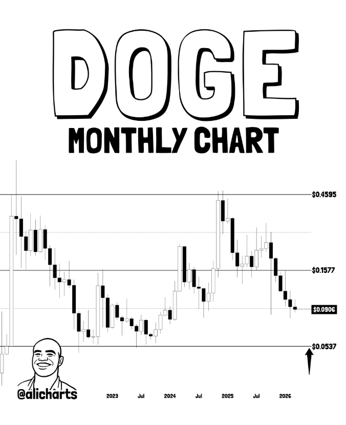 DOGE逼近关键支撑，巨鲸悄然吸筹酝酿反转