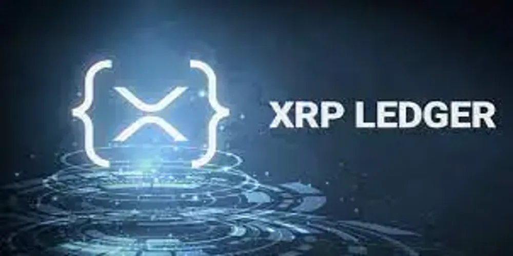 XRPL关键漏洞修复：网络稳定性获强化