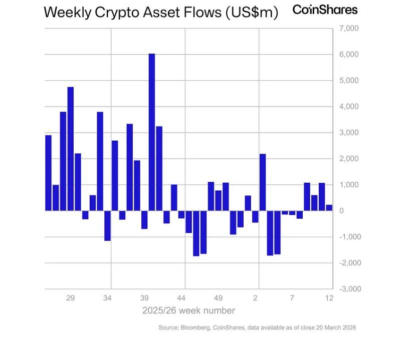 数字资产资金流入放缓，政策预期成核心驱动力