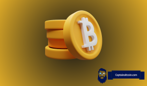 比特币连跌六个月逼近历史极值，十月或成转折窗口