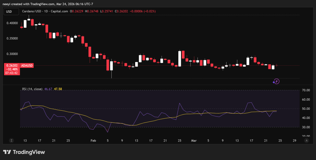 ADA价格重返0.25美元关键区，历史规律引市场关注