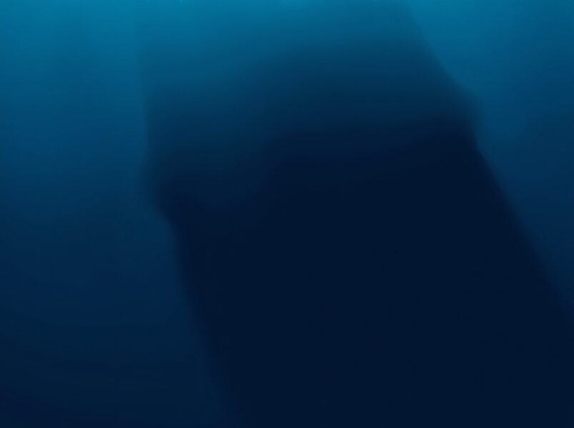 巨鲸转移骤降，比特币市场进入静默期