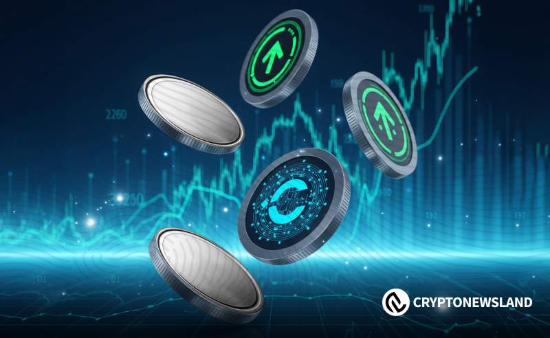 山寨币三角突破在即，多资产链生态共振可期