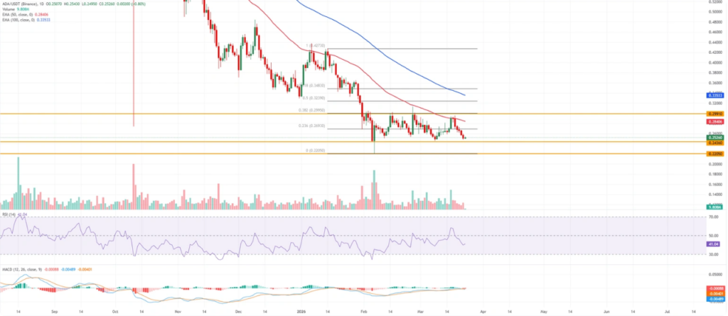 卡尔达诺跌至0.25美元：空头主导与技术破位预警
