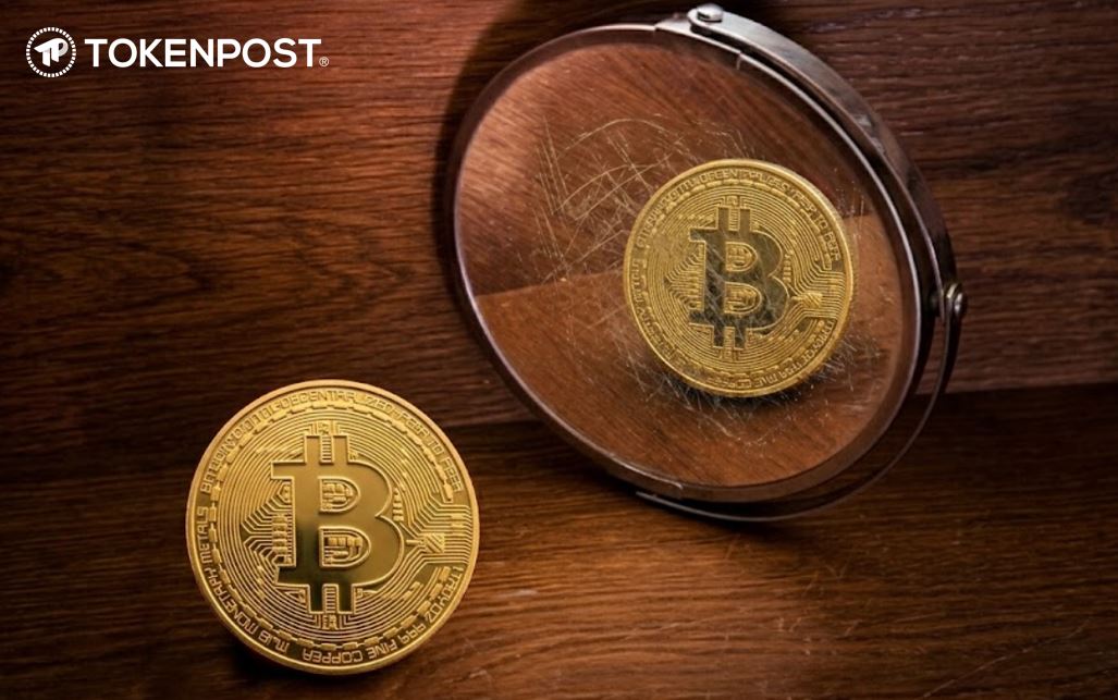 比特币叙事陷阱：当市场只信一个故事