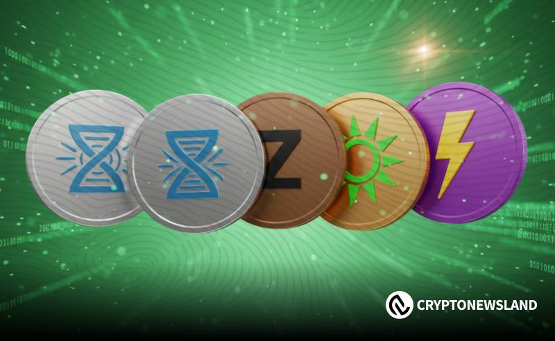 山寨币企稳信号浮现，突破前夜仍存变数