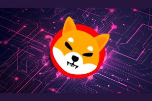 Shibarium交易量暴增背后的技术真相