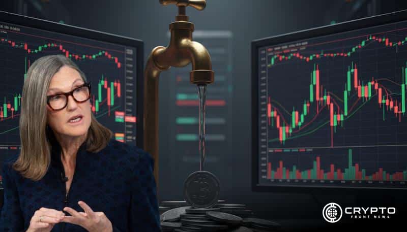 凯茜·伍德：比特币或成未来金融核心资产