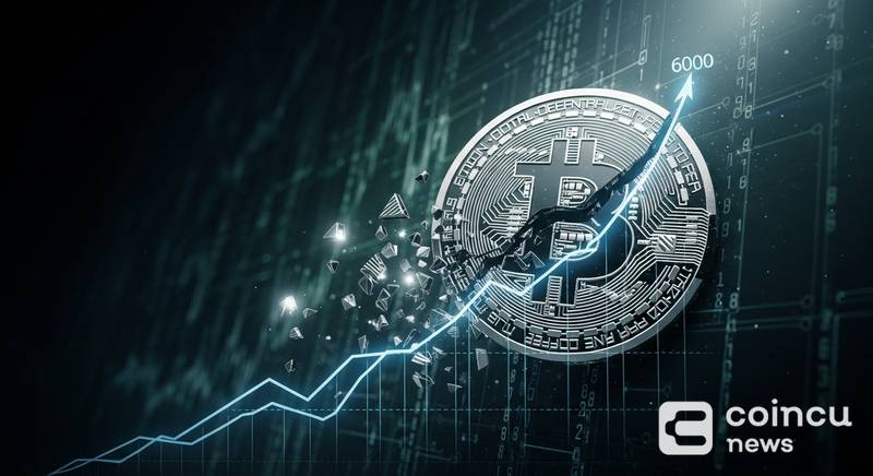 比特币跌至66000美元：鲸鱼抢购潮与恐慌情绪背离