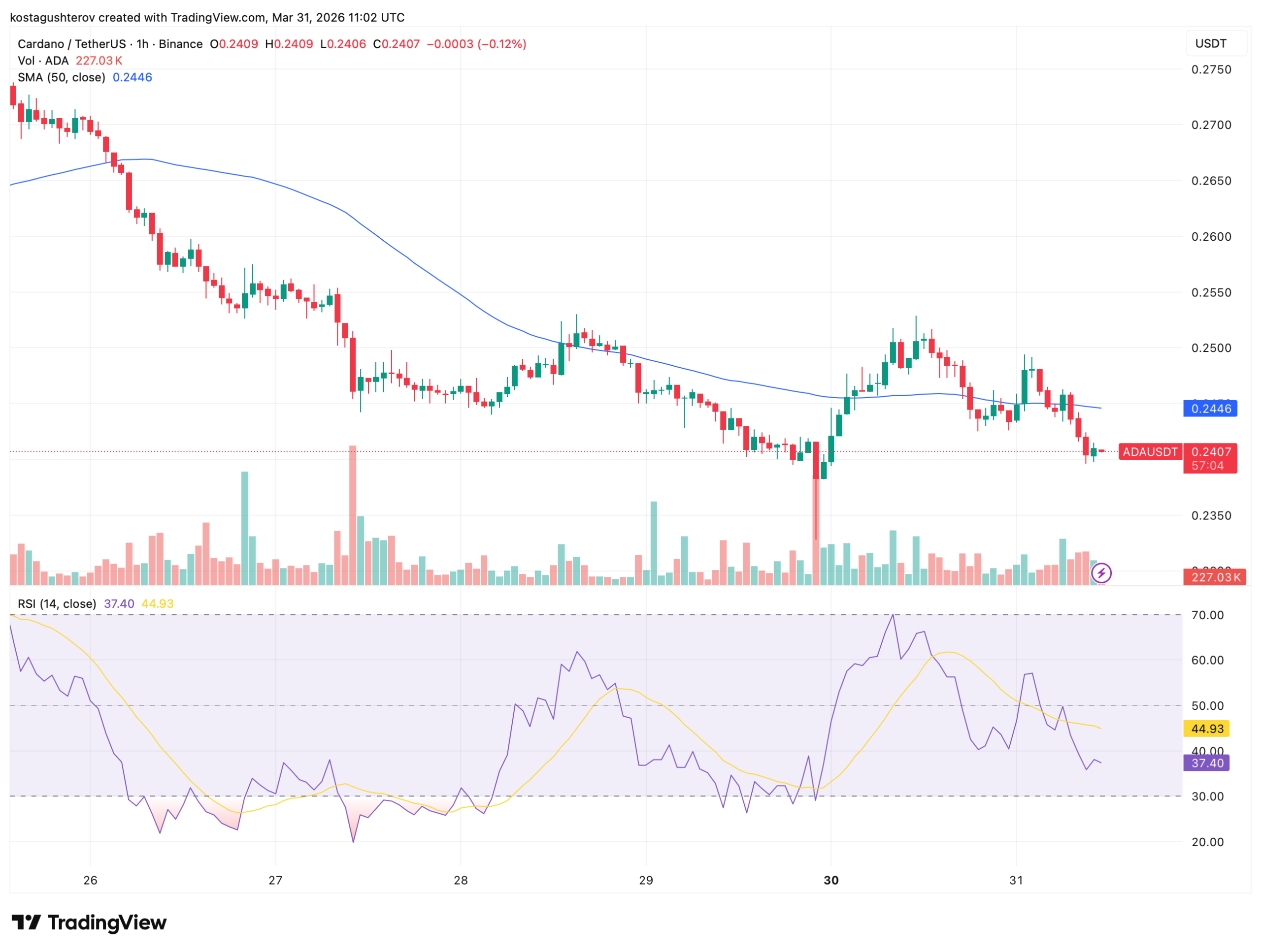 ADA跌穿0.24支撑，巨鲸逆势囤币暗藏反转信号
