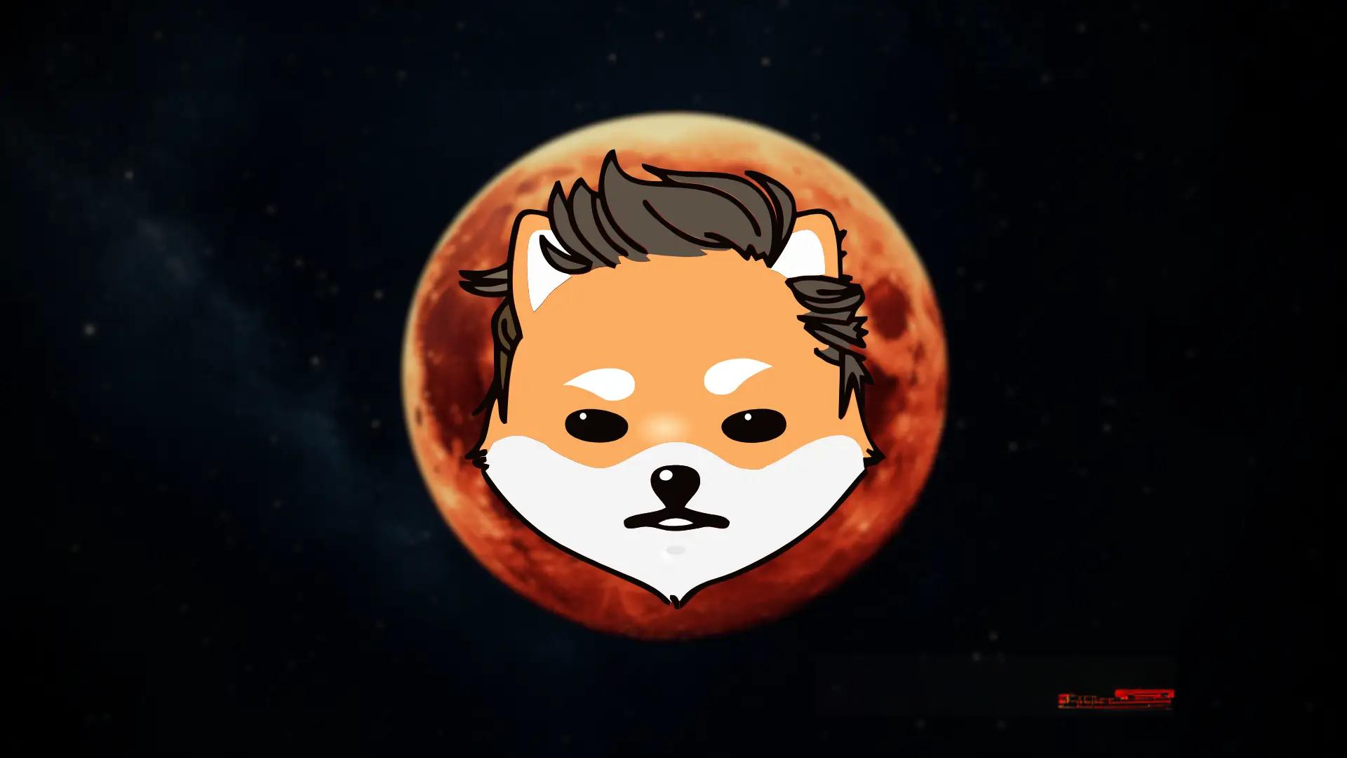 模因币生存战：万亿供应下的真实价值博弈