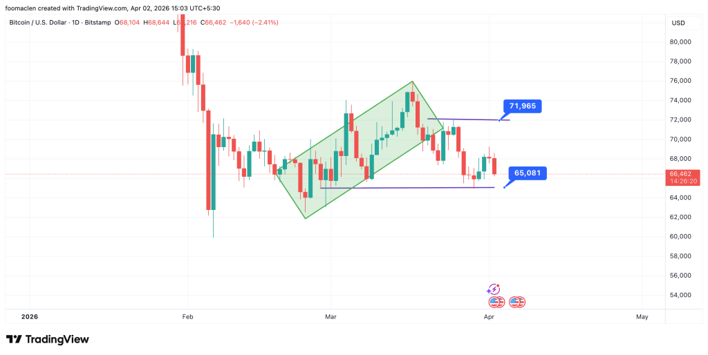 比特币回落至66000美元，山寨币普跌