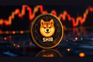 SHIB盘整蓄力：链上数据释放看涨信号