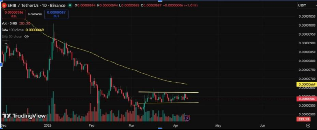SHIB盘整蓄势：0.0000060美元成关键突破关口
