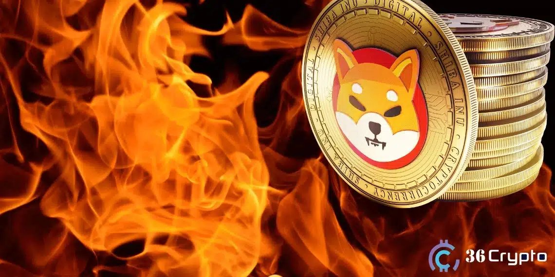 SHIB单日销毁暴增434%，超300万代币永久消失