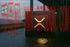 XRP持仓目标新思路：以收入反推持币量