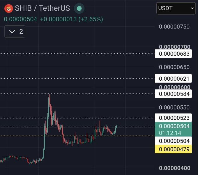 SHIB价格守稳关键支撑，多头蓄力冲击新高