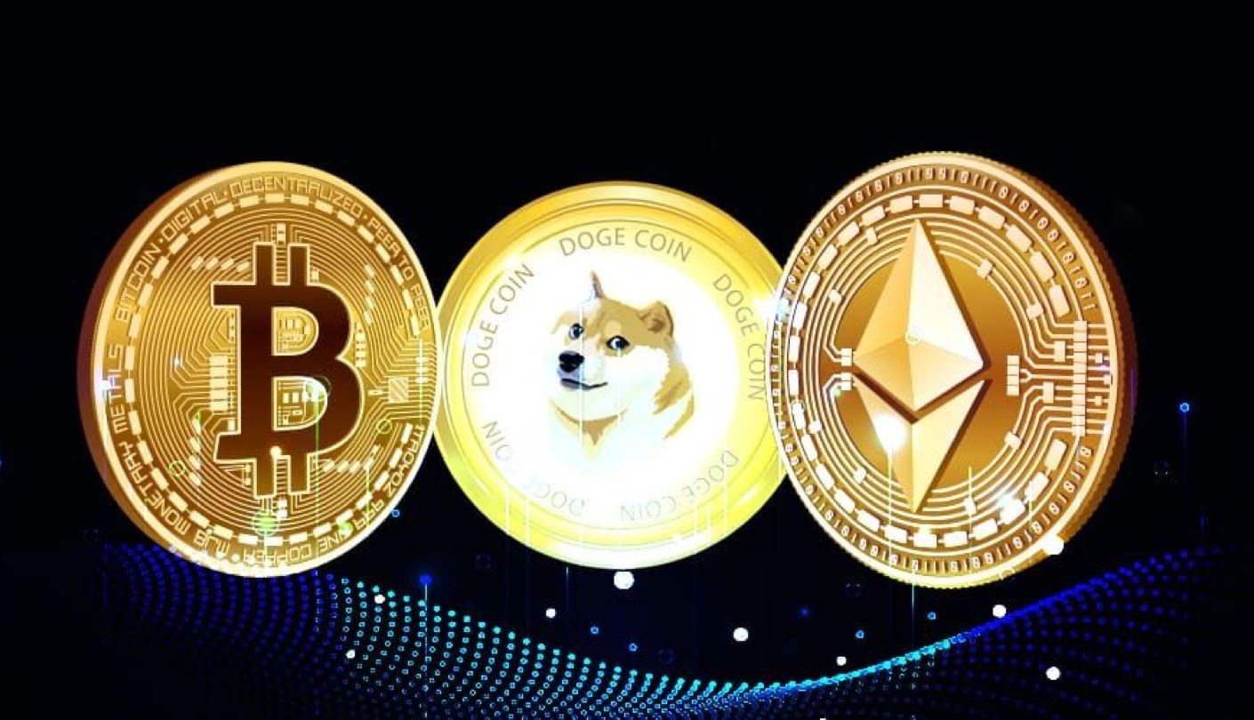 一只猫咪代币引爆行情：真实催化剂与高风险博弈