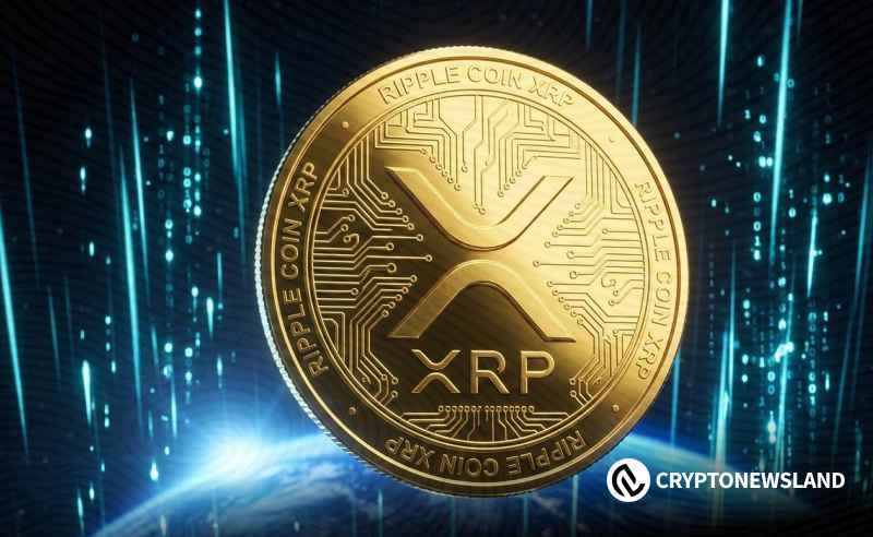 摩根士丹利披露XRP ETF持仓，机构入场信号再强化