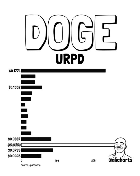DOGE突破0.10美元关键位，链上支撑成焦点
