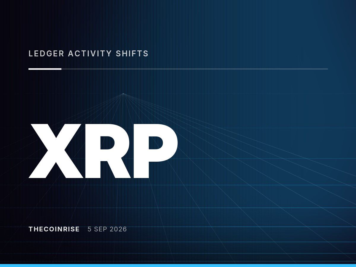 XRP账本活动变化：活跃账户减少，大额交易增多，转移价值上升