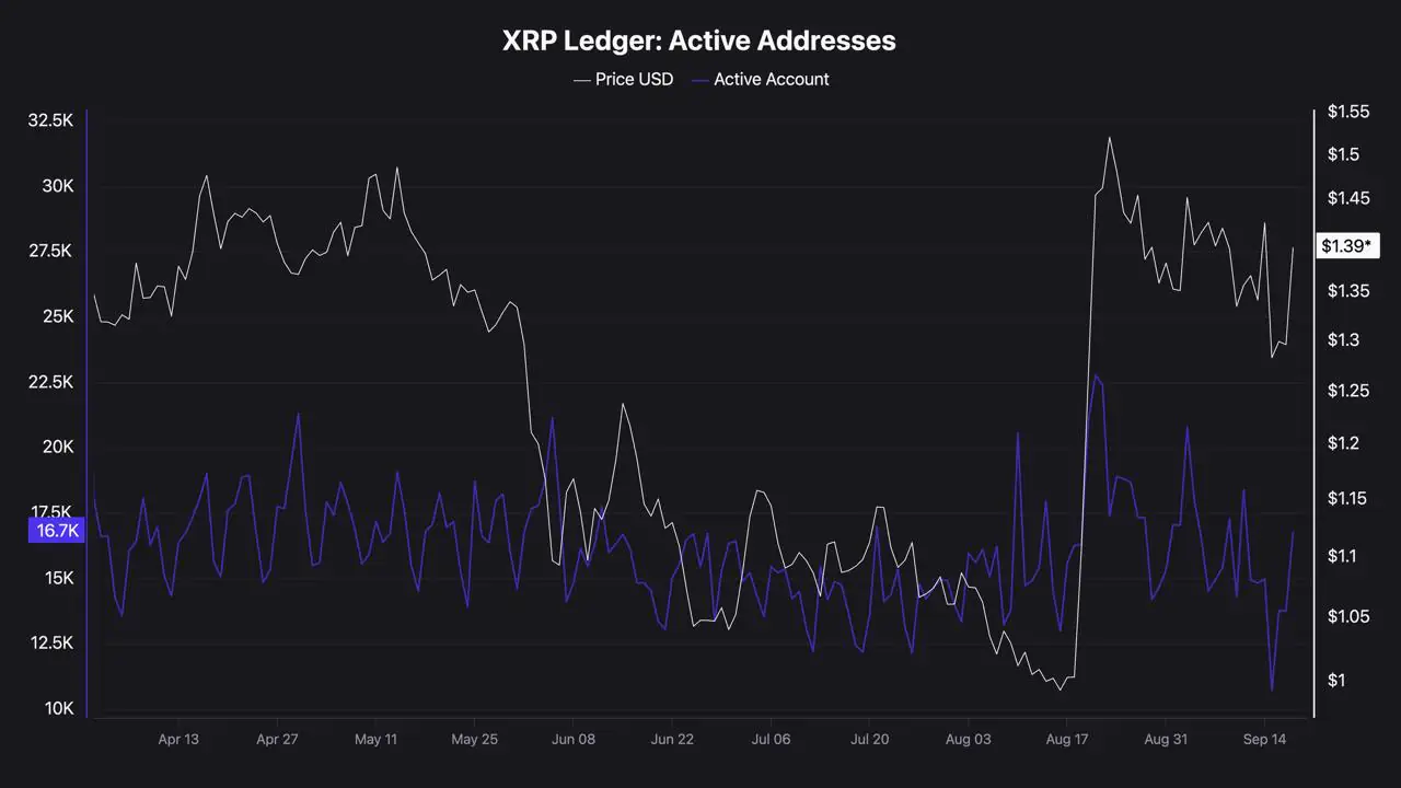 Active XRP Ledger Accounts