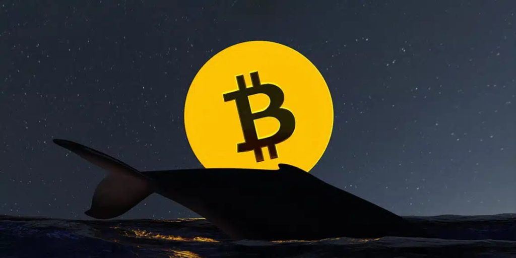 加密货币分析师阿里·马丁内斯解释称，鲸鱼可能在比特币、XRP和ADA的上涨中发挥关键作用！