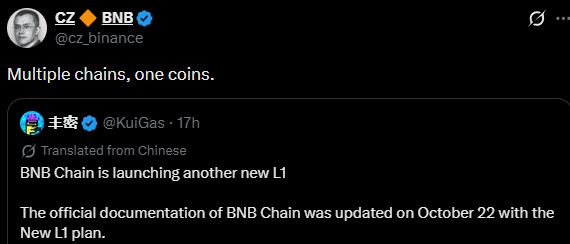 CZ回应BNB Chain新L1计划：“多链一币”